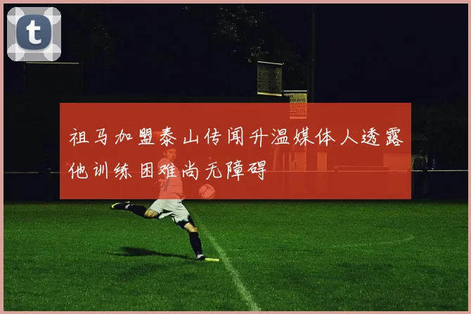 祖马加盟泰山传闻升温媒体人透露他训练困难尚无障碍