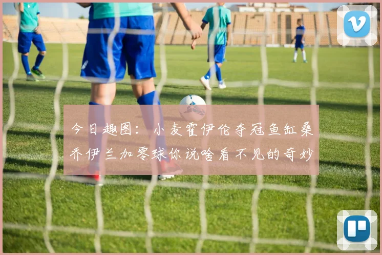 今日趣图：小麦霍伊伦夺冠鱼缸桑乔伊兰加零球你说啥看不见的奇妙瞬间