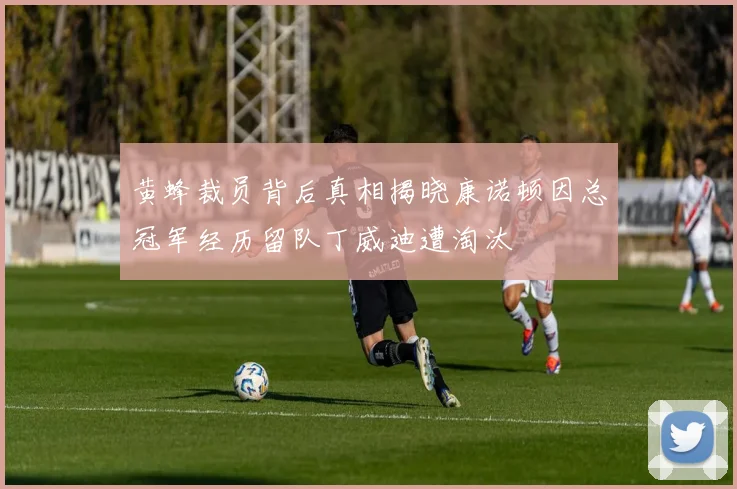 黄蜂裁员背后真相揭晓康诺顿因总冠军经历留队丁威迪遭淘汰
